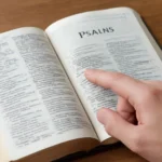 Cómo buscar el Salmo 91 en la Biblia: guía paso a paso para encontrarlo fácilmente como buscar el salmo 91 en la biblia
